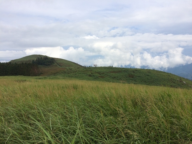 0AD220C8-57B6-401E-8743-CDB567D54914.jpeg