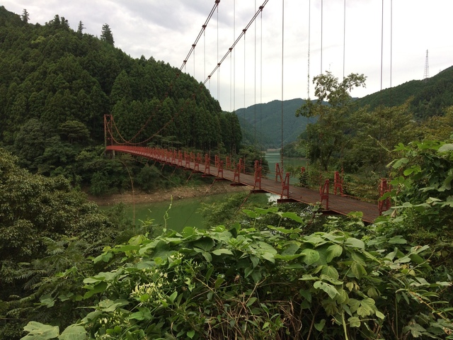 548AEB7B-50C3-4ED0-8BAF-C8D9C88610E9.jpeg