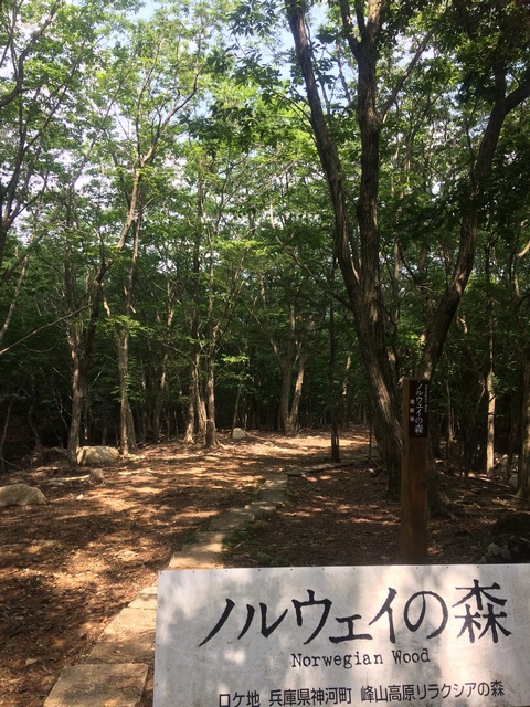 798DD82A-F84E-4C20-B071-49BD505D8F0B.jpeg