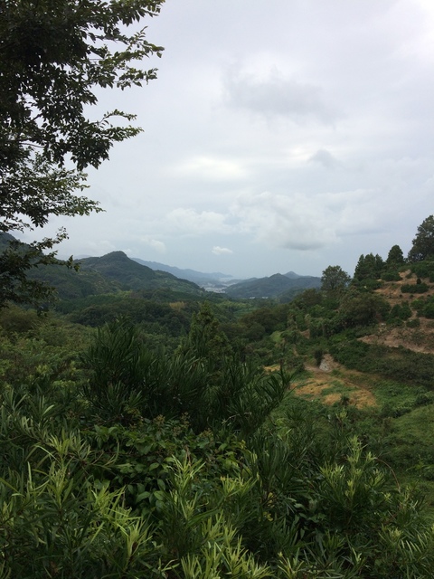 CB264EA5-DE45-4471-BF6E-458E1A12FF1D.jpeg