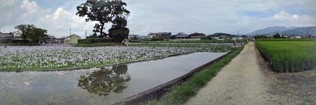 IMG_20190824_144008-PANO.jpg