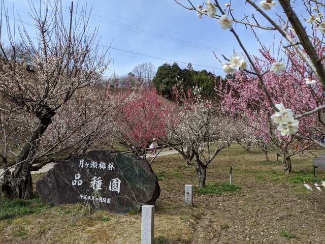 IMG_20200301_135638.jpg