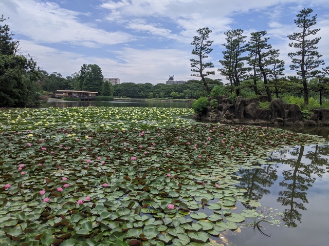 IMG_20200614_103223.jpg